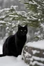 Placeholder: eine schwarze katze im schnee