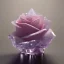 Placeholder: Crystal Rose