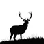 Placeholder: silhouette of a male deer, black on white, vector