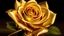 Placeholder: golden rose