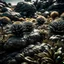 Placeholder: A striking photograh close-up captures a hyperrealistic wasteland with group of plants and glossy material, adorned with rocks. Magnificent. Henri Rousseau. Volumetric light. Shot on Kodak Portra 160 professional, eerie, giant black sun, 8k, deep 3d field, odd flowers, rock formations, strong texture, extreme detail, intricate, colours, rich moody colors, sparkles, bokeh, 33mm photography, details of the flowers and rocks very accentuated