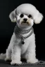 Placeholder: Bichon Frise Dog pixel with chain iced out