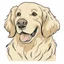 Placeholder: Portrait of a Golden retriever in the cartoon style