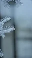 Placeholder: ice frost on glass