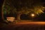 Placeholder: Night, square bench, dirt roads, trees, photography