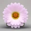 Placeholder: beautiful transparent flower in cosmos, smooth, extremely sharp detail, finely tuned detail, ultra high definition, 8k, unreal engine 5, ultra sharp focus, accurate hands