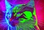 Placeholder: Black light art, neon cat