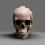 Placeholder: human skull