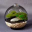 Placeholder: exquisite bonsai terrarium in a glass orb, petrified wood, pebbles, warm lighting, linen backdrop