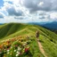 Placeholder: beautiful Green hills covered with flowers colorfull ,blue sky heavy clouds with godray ,very nice flowers at closeup ,wonderfull mountains at distance,beautiful lady look at camera ,walking at hills full body shot