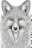 Placeholder: coloring book detailed page for adult of fox. face outline, vector, coloring book, white background, no shade, thick line