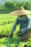 Placeholder: Asian farmer growing cover crops