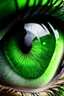 Placeholder: A huge close-up of a green eye