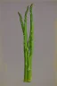 Placeholder: Full body portrait, painting, medium shot lady volumetric asparagus