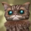 Placeholder: Cat owl alien