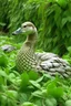 Placeholder: a goose wearing strings of mint plants as camoflauge