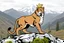 Placeholder: a mountain lion in a royal lion position like on flags or crests, vector