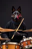 Placeholder: Portrait of a dark german shepherd dark skin male wearing a black clothes with full human body and holding a shepherd drums sticks and sitting behind a drums set