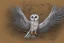 Placeholder: snow winged OWL