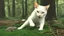 Placeholder: cat playing with mouse in the forest