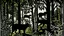 Placeholder: A black jungle with shadow wolves designed in Bayeux tapestry painted by Henri Matisse
