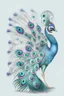 Placeholder: peacock avatar illustration on a white background, detailed