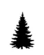 Placeholder: isolated spruce/pine tree silhouette, simplified black on white clipart