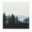 Placeholder: A polaroid photo of a group of fir trees and high mountains in the distance. A lake. Odd dark person. Fog is present.