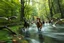 Placeholder: oil painting ,motion blur running caped long haired pixie Quickling - Forgotten Realms dodging geese above water and along winding branches in lush green forest along speeding horses , bokeh like f/0.8, tilt-shift lens 8k, high detail, smooth render, down-light, unreal engine, prize winning