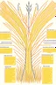 Placeholder: A mind map of wheat for interior design, and the writing language is Arabic