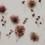 Placeholder: circle arrangement of small dried flowers on white textured paper, aesthetic layout, beautiful composition, vintage, brightly lit, tender, pastel colours