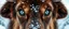 Placeholder: creature with eyes of hound bison reindeer yoga man with the snow flake pattern in the pupils in snowy mountain