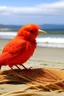 Placeholder: a rotweiler dag sitting on a beach