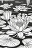 Placeholder: flowers coloring page for kids, water lily, cartoon style, thick outline, low details, no shading, no color