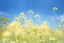 Placeholder: bottom is detailed canola in full bloom with side branches, top is sky, photography, darken stems compared to reference