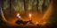 Placeholder: beautiful african lady meditating at night with candles in a enchanted forest, fotorealistic, high quality, landscape, 17, chalice well