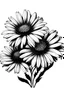 Placeholder: black 3 daisy flower VECTOR illustration defined and detailed with white background