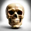 Placeholder: ANATOMICALLY CORRECT digital photograph of the SKULL OF A freshly skinned SMILEY FACE with fine line, highly detailed, high resolution, horrorcore, photorealisitc, awardwinning, action shot, matte, studio lighting, magazine cover