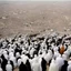 Placeholder: Muslims Pilgrimage.