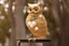 Placeholder: owl sculpture made of gold wire, real pearls, driftood and cotton balls