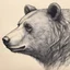 Placeholder: sideview of bear head, extreme low detail sketch with strong contrast, use 70s cartoon style, monochromatic outline stamp technique, indigo ink on creamy paper texture