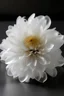 Placeholder: A decoration with chrysanthemum petals in organza in total white