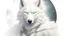 Placeholder: front facing humanoid white wolf, glowing eyes, transparent background