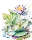 Placeholder: a hand-drawn watercolor painting of a waterlily and a few different aquatic plants, with a splash of mixed colors on a white background, sharp detail