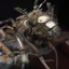 Placeholder: horror, swarming mechanical robotic insects, bugs, cockroaches, flies, spiders, ticks, parasites screaming person, pain, decay