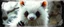 Placeholder: 3d airbrush render, white fluffy gnome native panda elf alien dodo , pinhole cam, airbrush 3d rendering, in the style of Titian and Dali , torn edges on border