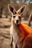 Placeholder: a kangaroo have an orange cruel hair do a selfi