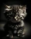 Placeholder: a cute evil kitten