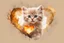 Placeholder: double exposure, merged layers, fluffy beige kitten with dynamically blazing fire in ochre, ink splatter art, watercolor and ink, golden glitters, double exposure heart and love