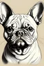 Placeholder: lineart of a french bulldog